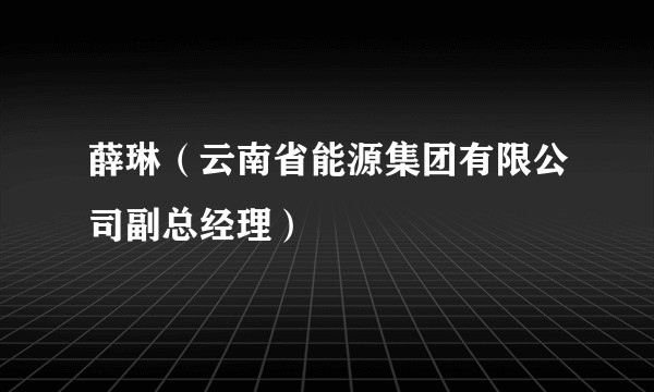 薛琳（云南省能源集团有限公司副总经理）