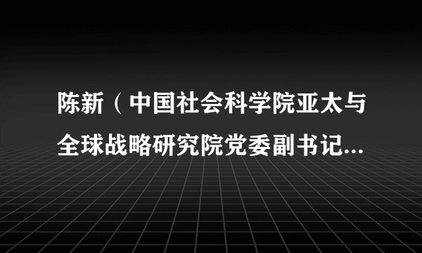 陈新（中国社会科学院亚太与全球战略研究院党委副书记、副院长）