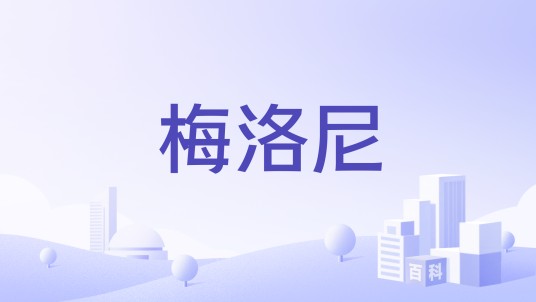 梅洛尼（电器公司）