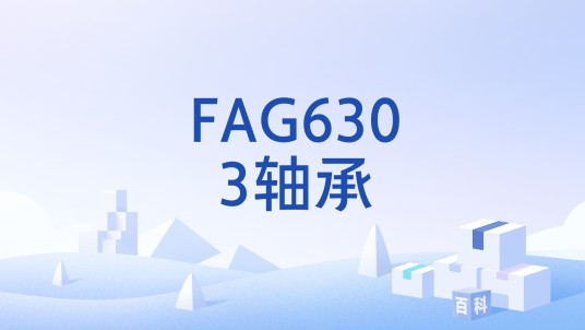 FAG6303轴承