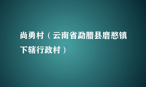 尚勇村（云南省勐腊县磨憨镇下辖行政村）