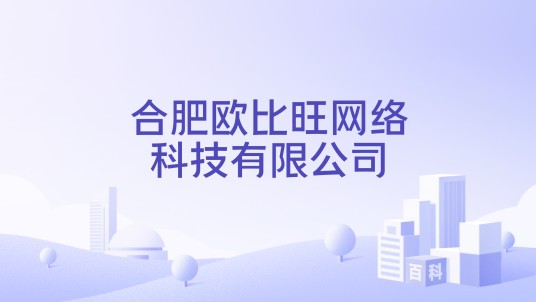 合肥欧比旺网络科技有限公司