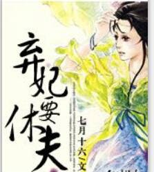 弃妃要休夫（我当王妃类网络小说）