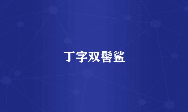 丁字双髻鲨