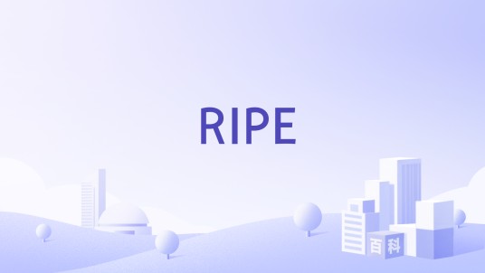 RIPE（非营利性互联网注册管理机构）