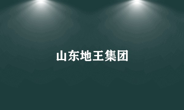 山东地王集团