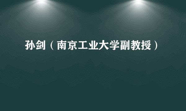 孙剑（南京工业大学副教授）