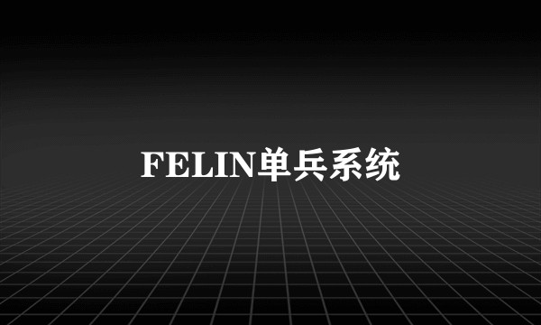 FELIN单兵系统