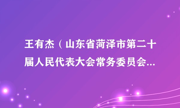 王有杰（山东省菏泽市第二十届人民代表大会常务委员会代表资格审查委员会原副主任委员）