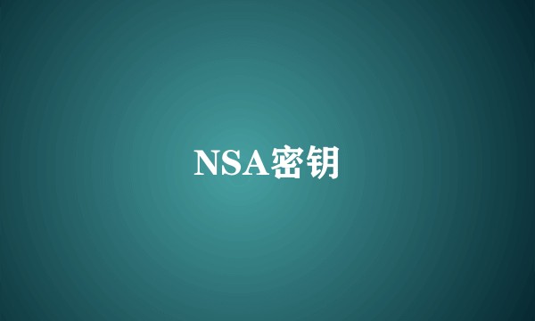 NSA密钥
