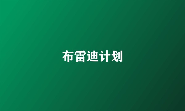 布雷迪计划