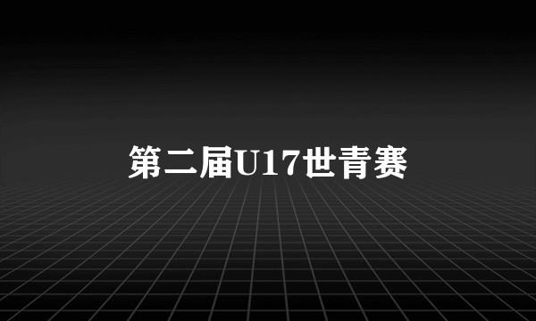 第二届U17世青赛