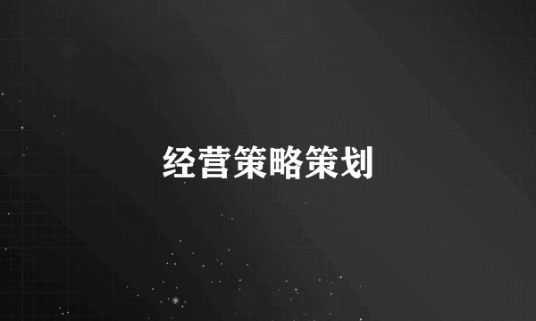 经营策略策划