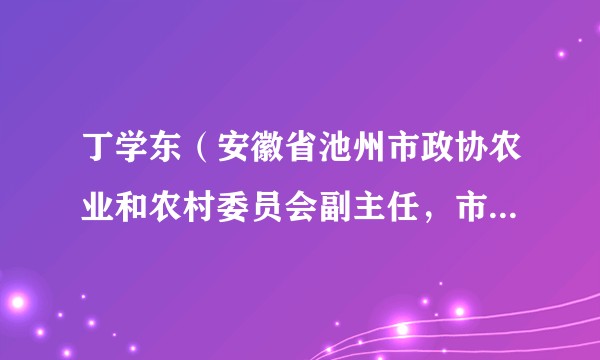 丁学东（安徽省池州市政协农业和农村委员会副主任，市供销社监事会主任、党组副书记）