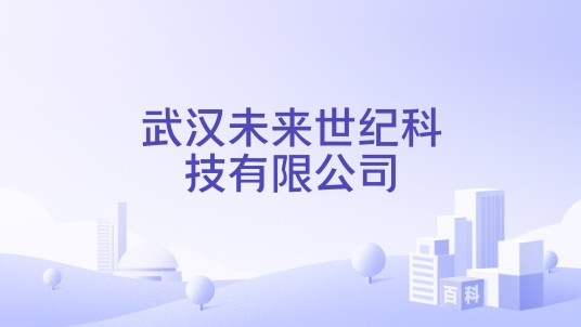 武汉未来世纪科技有限公司