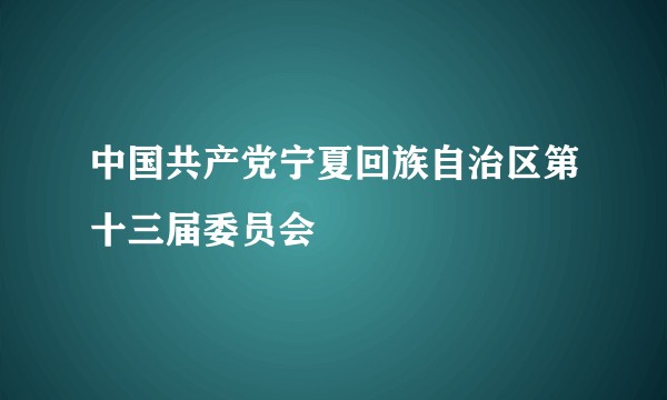 中国共产党宁夏回族自治区第十三届委员会
