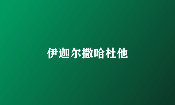 伊迦尔撒哈杜他