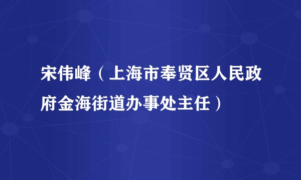 宋伟峰（上海市奉贤区人民政府金海街道办事处主任）