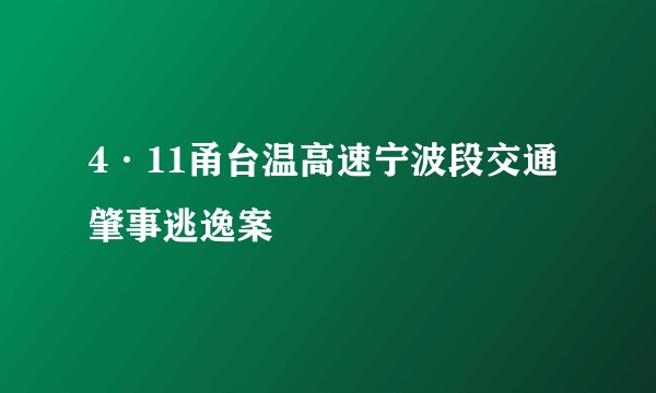 4·11甬台温高速宁波段交通肇事逃逸案
