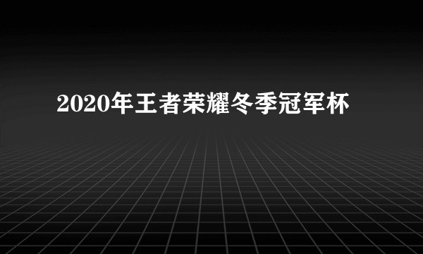 2020年王者荣耀冬季冠军杯