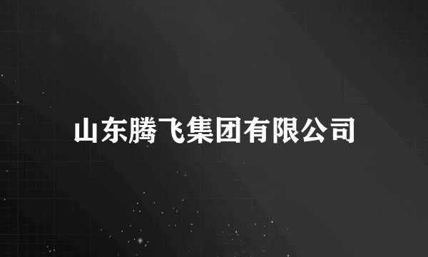 山东腾飞集团有限公司
