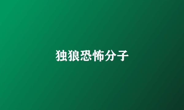 独狼恐怖分子