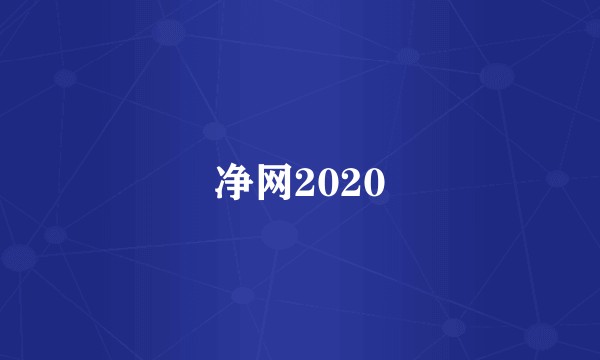 净网2020