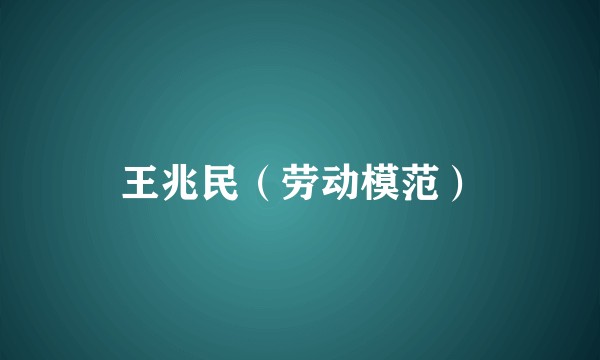 王兆民（劳动模范）