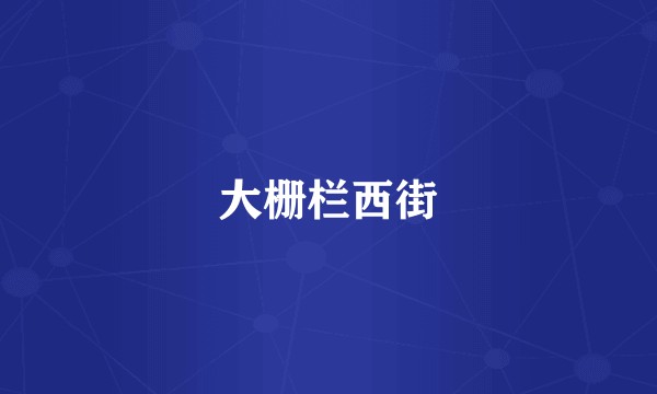 大栅栏西街