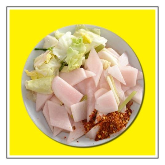 家常泡菜（以湿态发酵方式加工制成的浸制品）