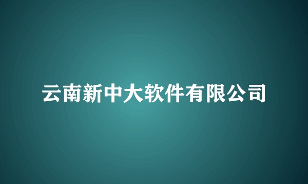 云南新中大软件有限公司