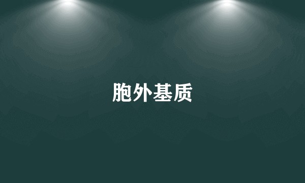 胞外基质