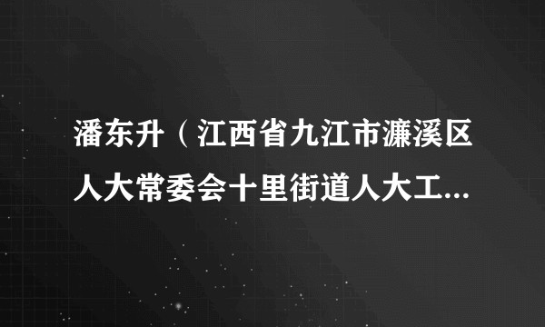 潘东升（江西省九江市濂溪区人大常委会十里街道人大工委主任）