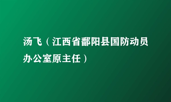 汤飞（江西省鄱阳县国防动员办公室原主任）