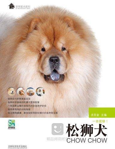 家有爱犬：松狮犬