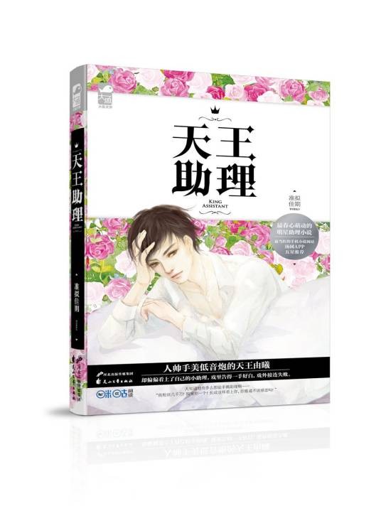 天王助理(2016年花山文艺出版社出版的图书)