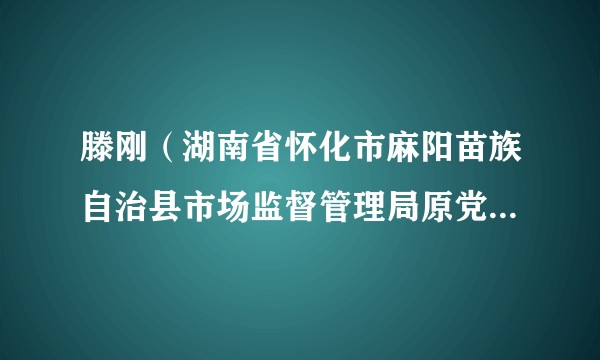 滕刚（湖南省怀化市麻阳苗族自治县市场监督管理局原党组书记）