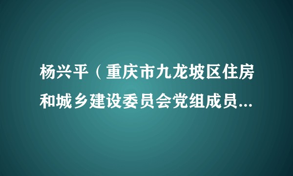 杨兴平（重庆市九龙坡区住房和城乡建设委员会党组成员、二级调研员）