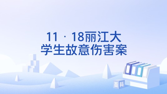 11·18丽江大学生故意伤害案
