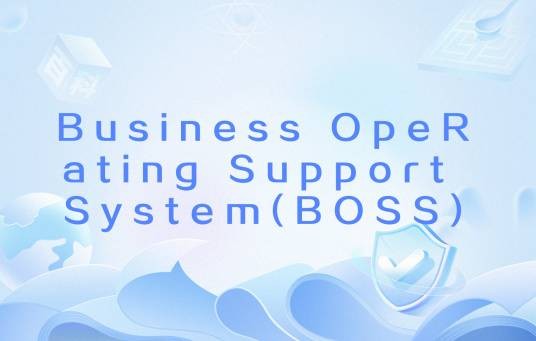 Business Operating Support System(BOSS)