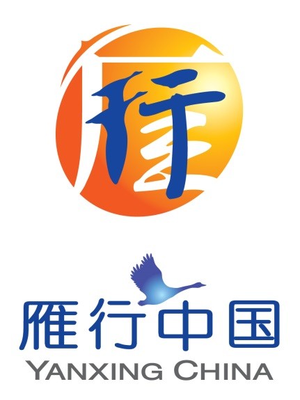 中国社会福利基金会雁行中国项目