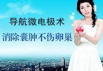 导航微电极技术