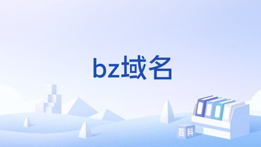 bz域名
