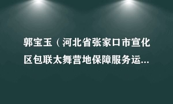 郭宝玉（河北省张家口市宣化区包联太舞营地保障服务运行团队指挥部垃圾清废组组长）