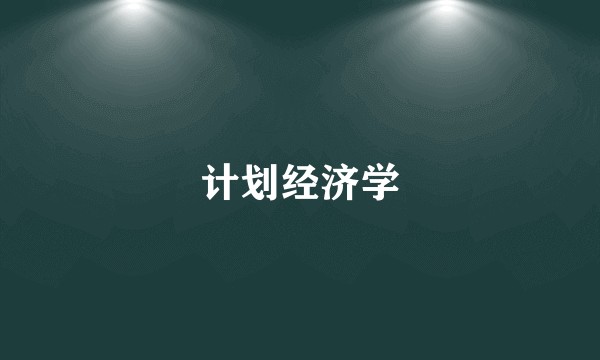 计划经济学