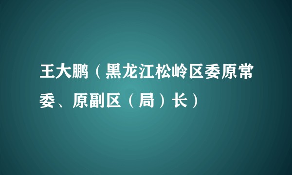 王大鹏（黑龙江松岭区委原常委、原副区（局）长）