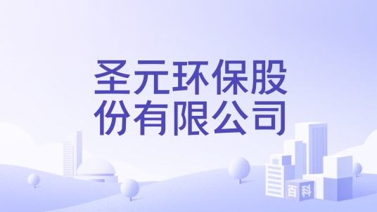 圣元环保股份有限公司