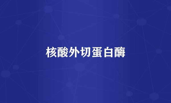 核酸外切蛋白酶