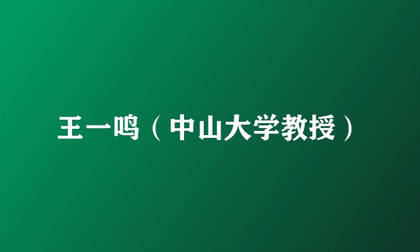 王一鸣（中山大学教授）