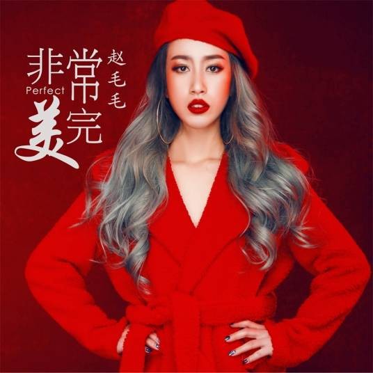 非常完美（赵毛毛演唱的歌曲）